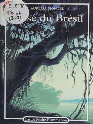 cover image of José du Brésil